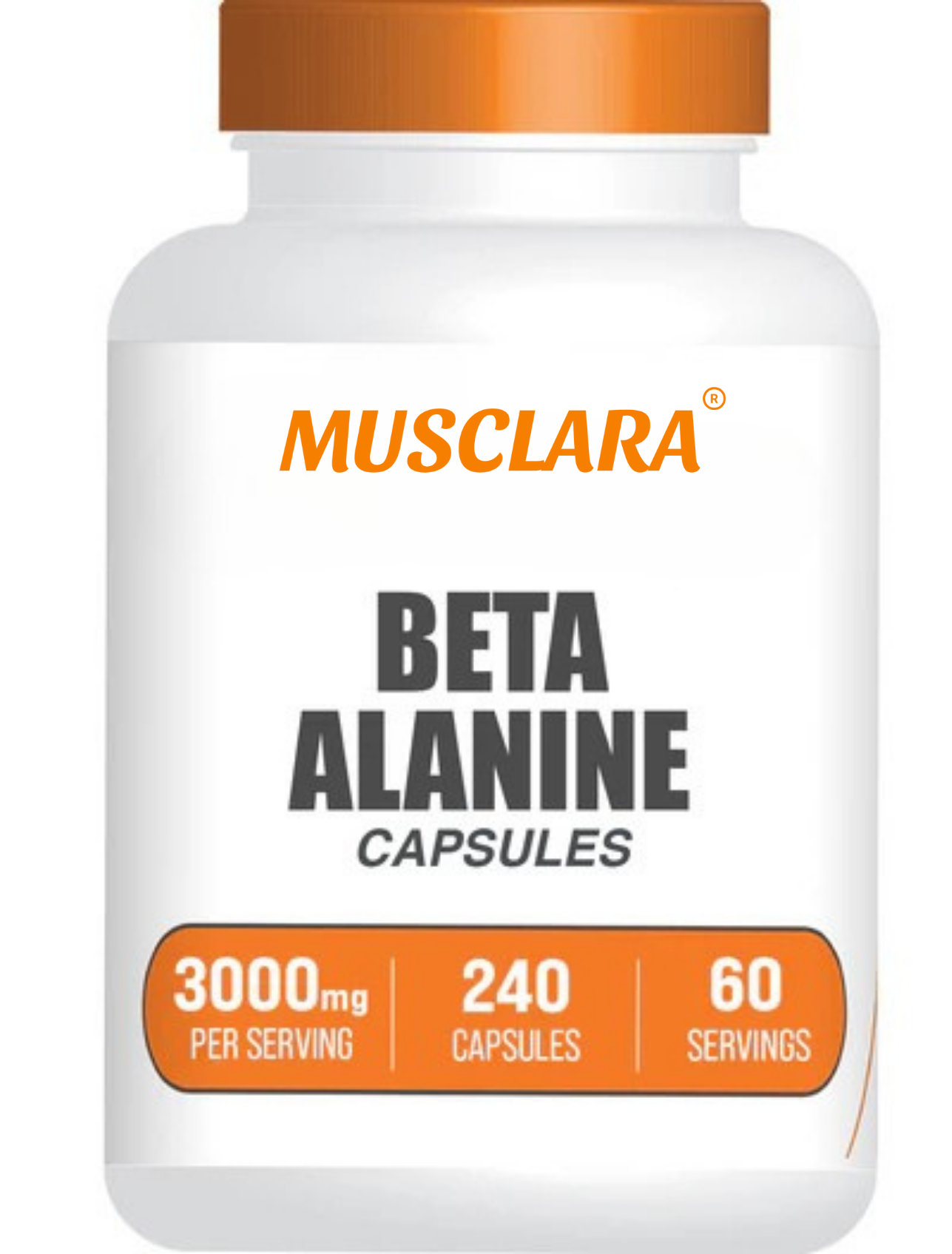 Beta Alanine Powder